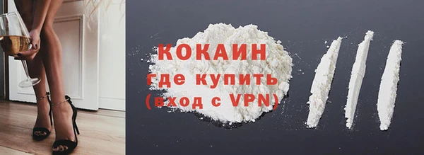 ешки Корсаков