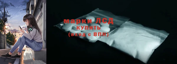 ешки Корсаков