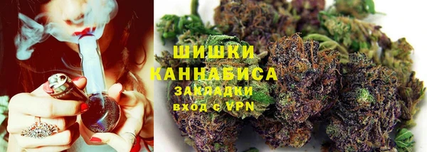 ешки Корсаков