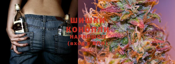 ГАЛЛЮЦИНОГЕННЫЕ ГРИБЫ Киренск