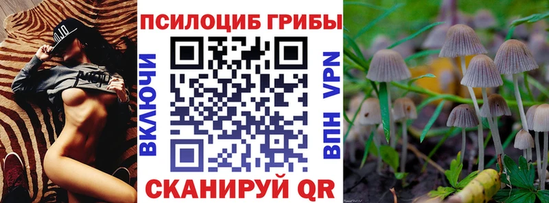 Галлюциногенные грибы MAGIC MUSHROOMS купить наркотики цена Владимир