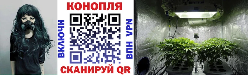 Шишки марихуана семена  Владимир 